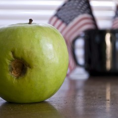 Rotten Apple - photo by Aaron Katchen