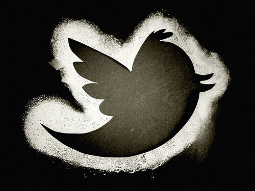 The twitter bird - photo by Andreas Eldh The twitter bird - photo by Andreas Eldh