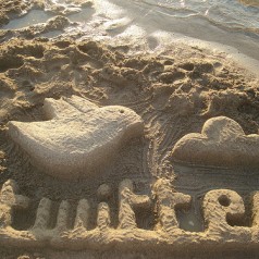 Twitter - photo by Rosaura Ochoa