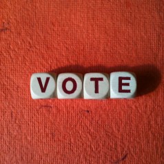Vote - photo by Ann Douglas