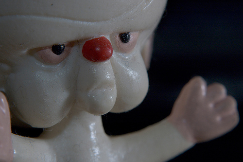 Brain - photo by Michael Hanscom