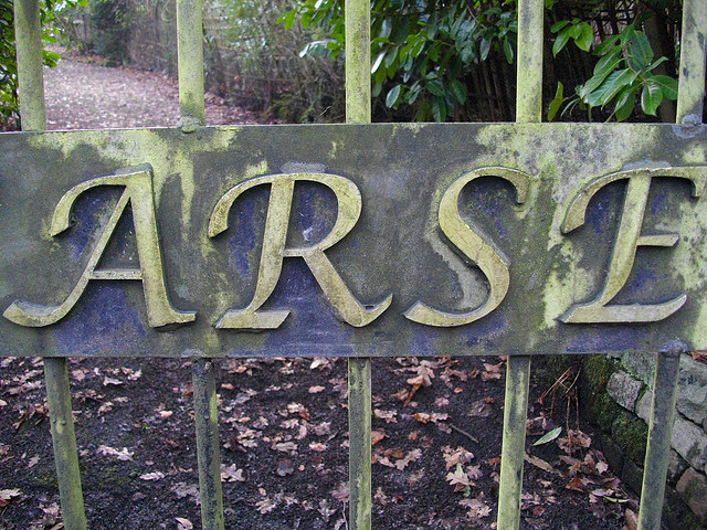 Arse - photo by Paul Robertson Arse - photo by Paul Robertson