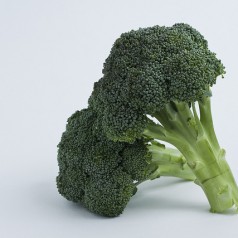 Broccoli - photo by Topher Seguin