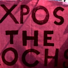 Expose The Kochs