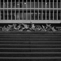 The Top of the Steps - Sacramento County Courthouse - photo by C.M. Keiner