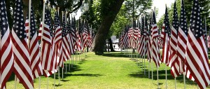 Flag Row - United States - photo by Paul Mayne