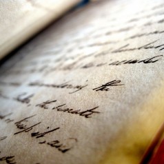 Bible polyglot - photo by suzanne chapman