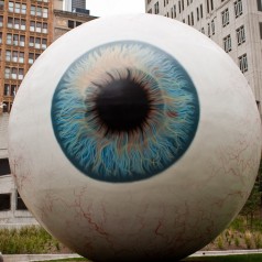 Eyeball - photo by Scott Hadfield